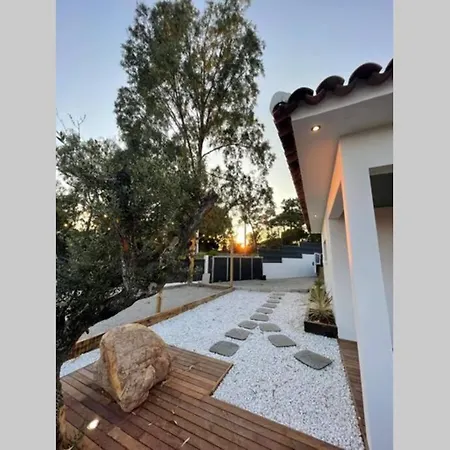 Βίλα Moderne Avec Piscine - Porticcio